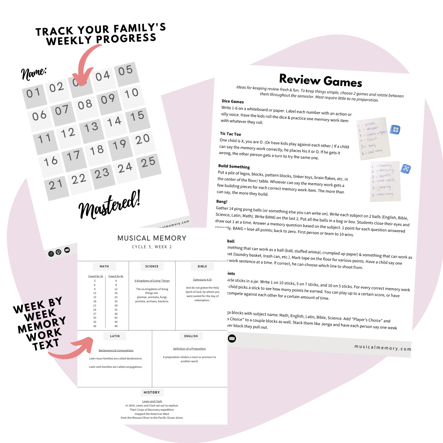 Family progress chart for Musical Memory with weekly tracking and mastery checkmarks.