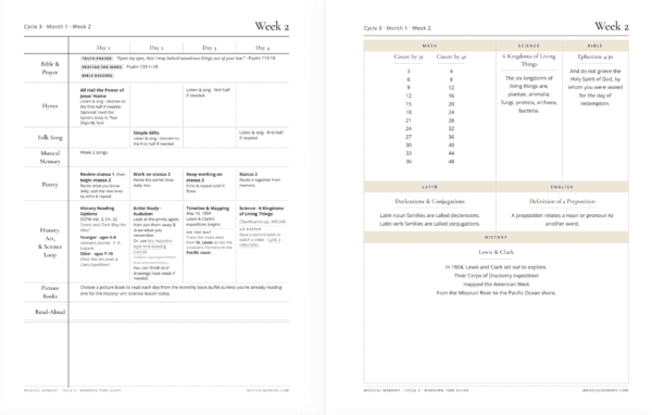 Cycle 3 weekly plans example