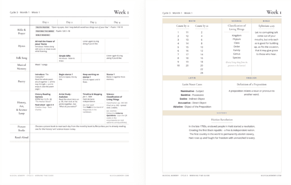 Cycle 3 weekly plans